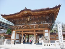 Narita-san, Shinshyo-ji Temple